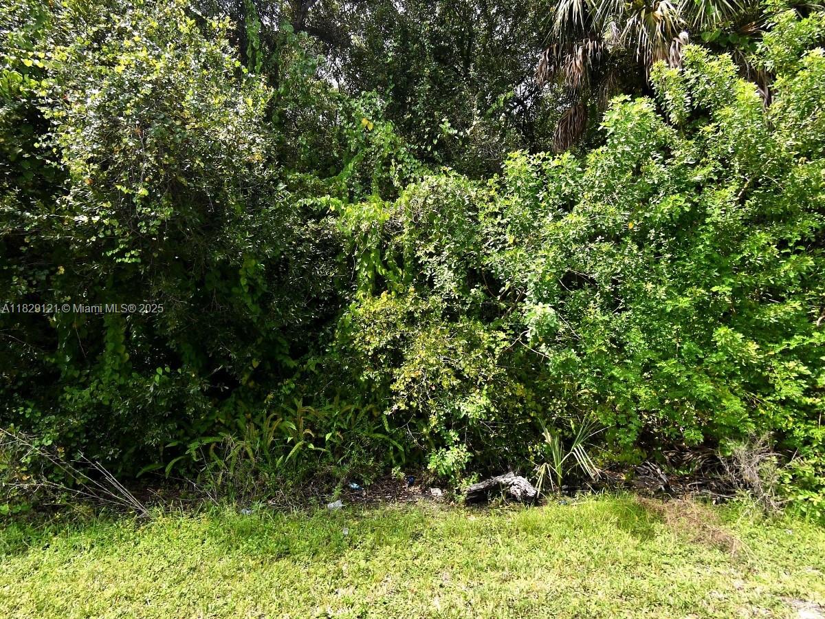 Discover the perfect opportunity to own land in the fast-growing Fort Pierce area! Don't miss this opportunity to secure land in one of Florida’s emerging markets.