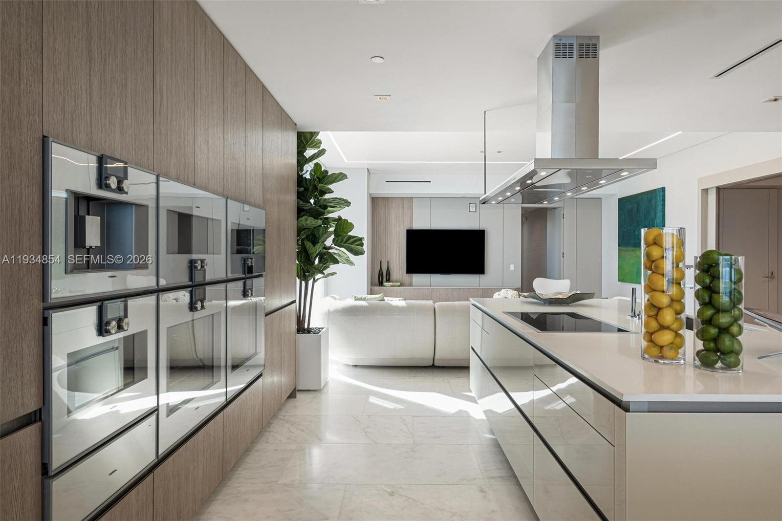 NORTH BISCAYNE BEACH AMEN - Residential