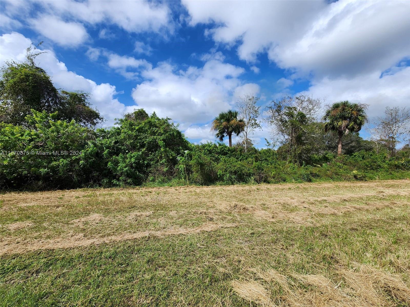 Discover the potential of this remarkable 1.25-acre vacant land lot in the desirable Clewiston area. This prime property invites you to turn your dreams into reality—whether it means building a residence, making a smart investment, or creating a serene retreat. The location offers endless possibilities! Enjoy the charm of nature, as this property provides a perfect blend of tranquility and convenience. Don’t miss your chance to own a piece of paradise in Clewiston! Montura grants exclusive access to a private reservoir for landowners, ideal for horseback riding, camping, fishing, and hunting. The community features a clubhouse with a pool, parks, playgrounds, and basketball courts. Plus, with no HOA, your vision can truly flourish! A survey is included for your convenience. CASH ONLY!