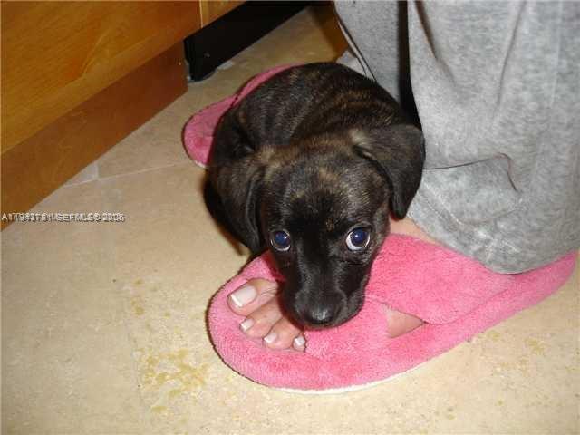 OCEAN PARK CONDO - Residential