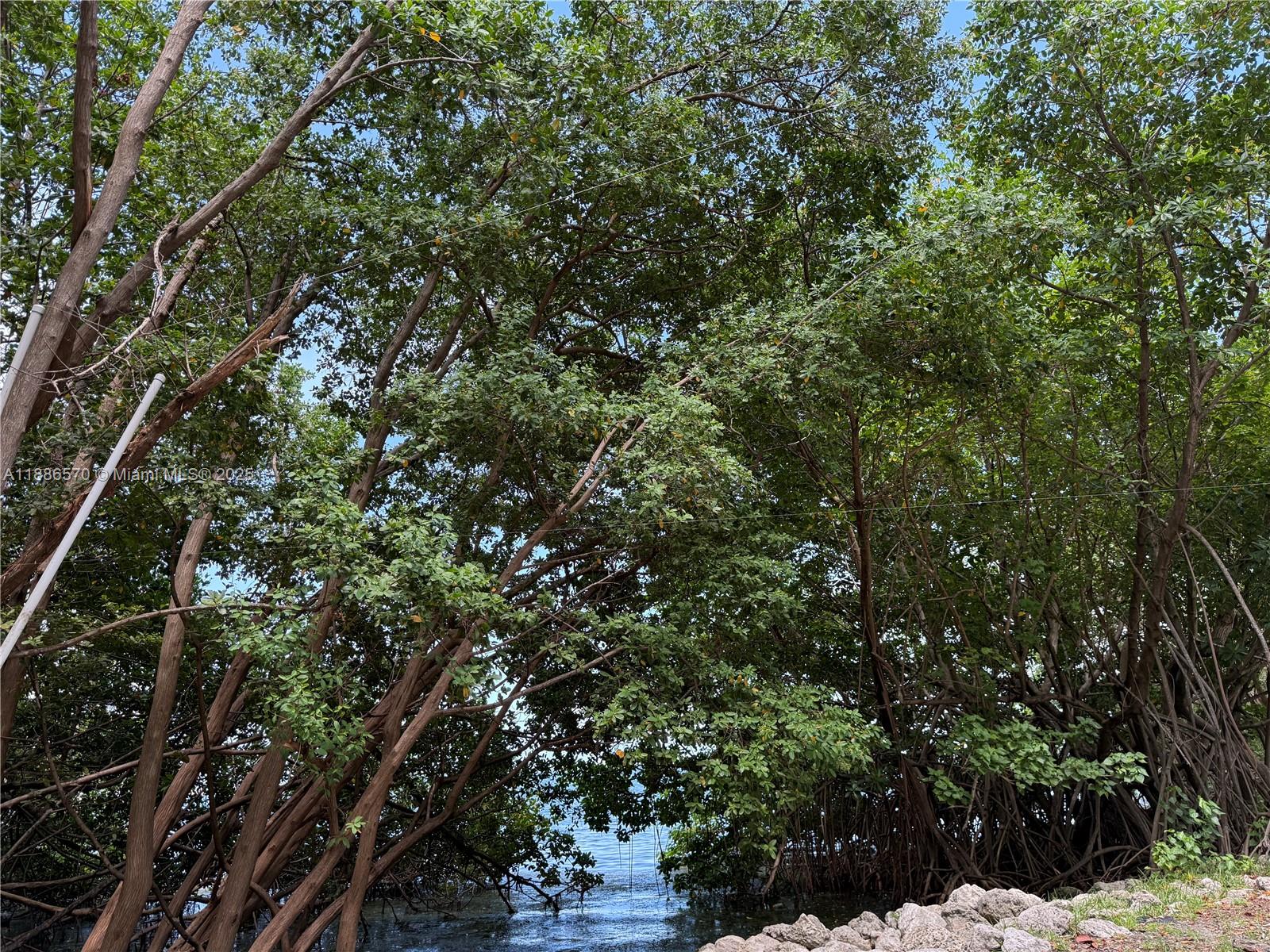 CITE CONDO - Residential