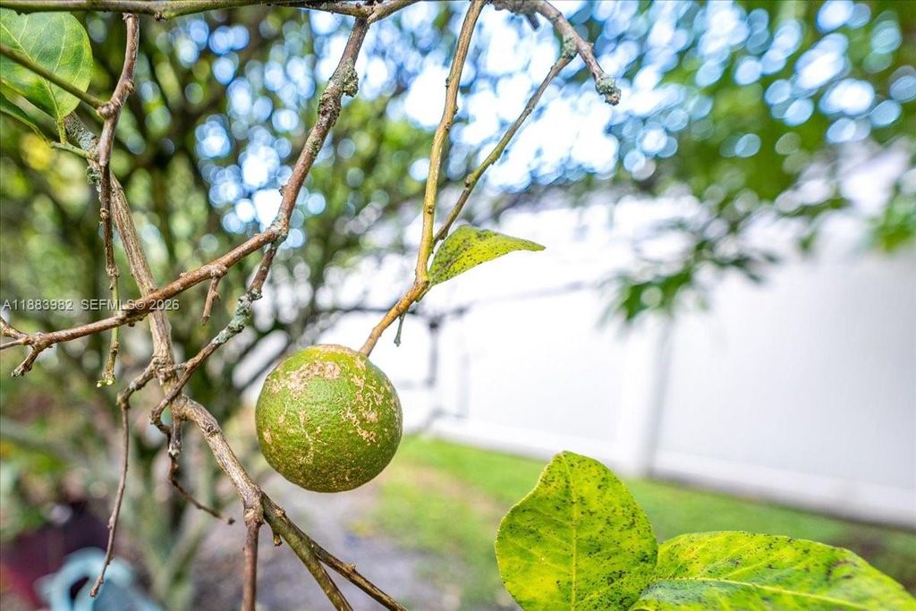 Photo of 6958 NW Hartney Way, Port St Lucie, FL 34983 (MLS # A11883982)