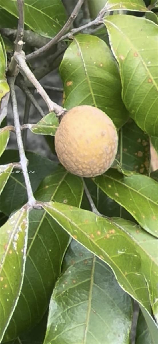 PORT ST LUCIE SECTION 43 - Residential