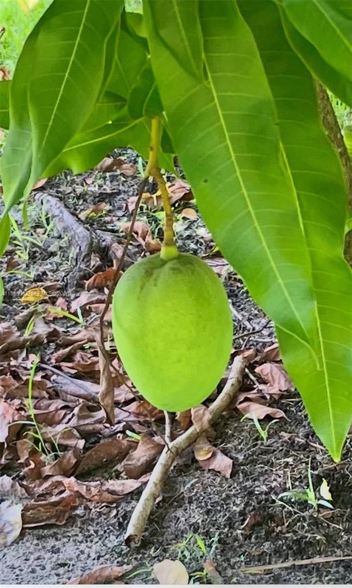 PORT ST LUCIE SECTION 43 - Residential