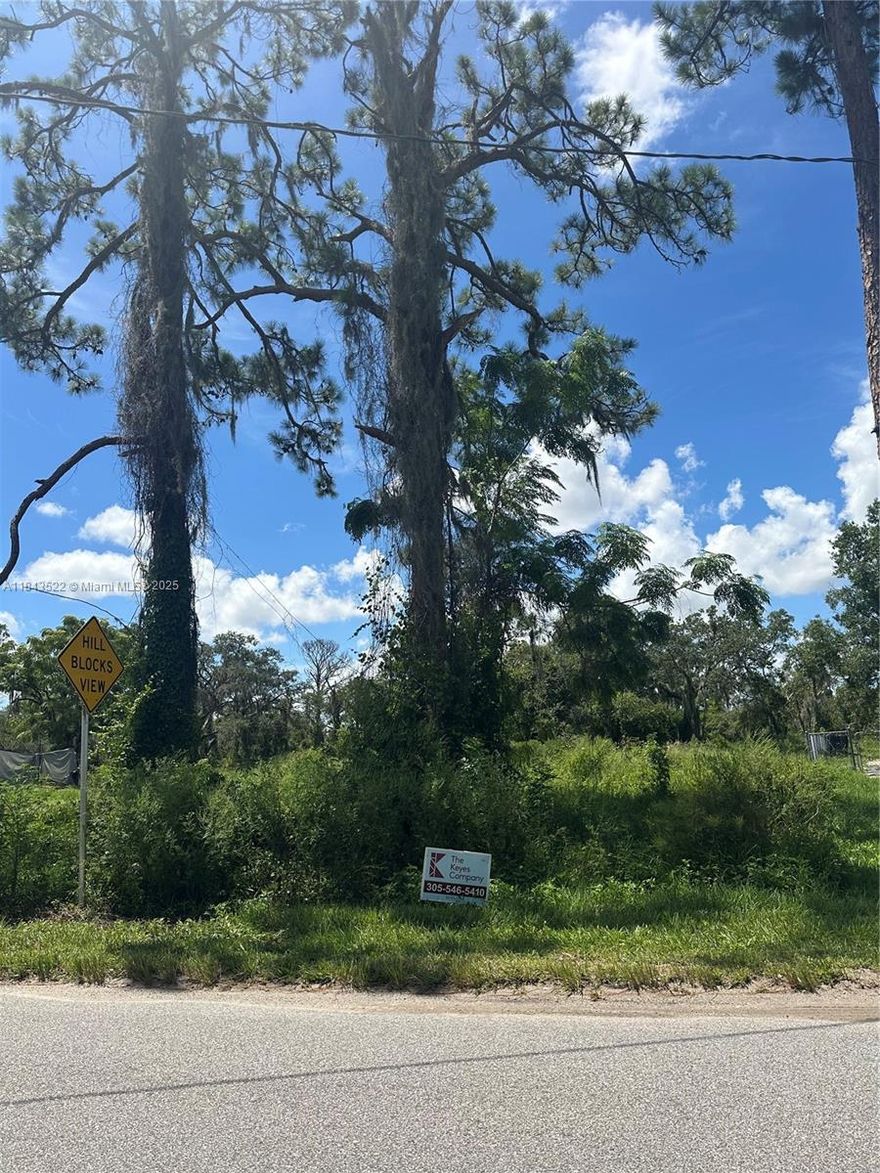 Buildable .23 Acres on a Residential Neighborhood in Lake Placid, Fl.  Close to all Stores in Lake Placid Downtown. Many Shopping Stores.