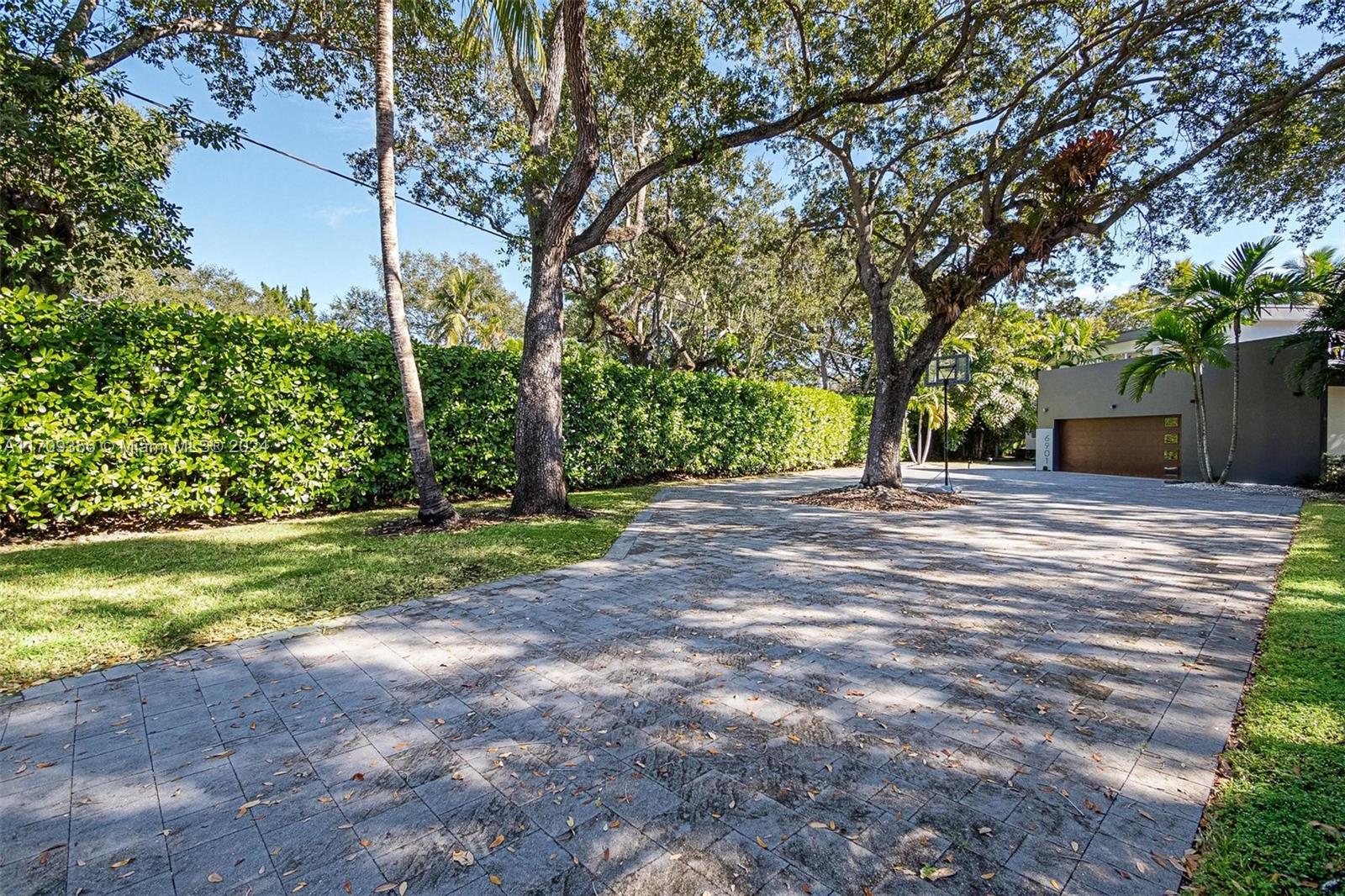 Wild Orchid - Residential