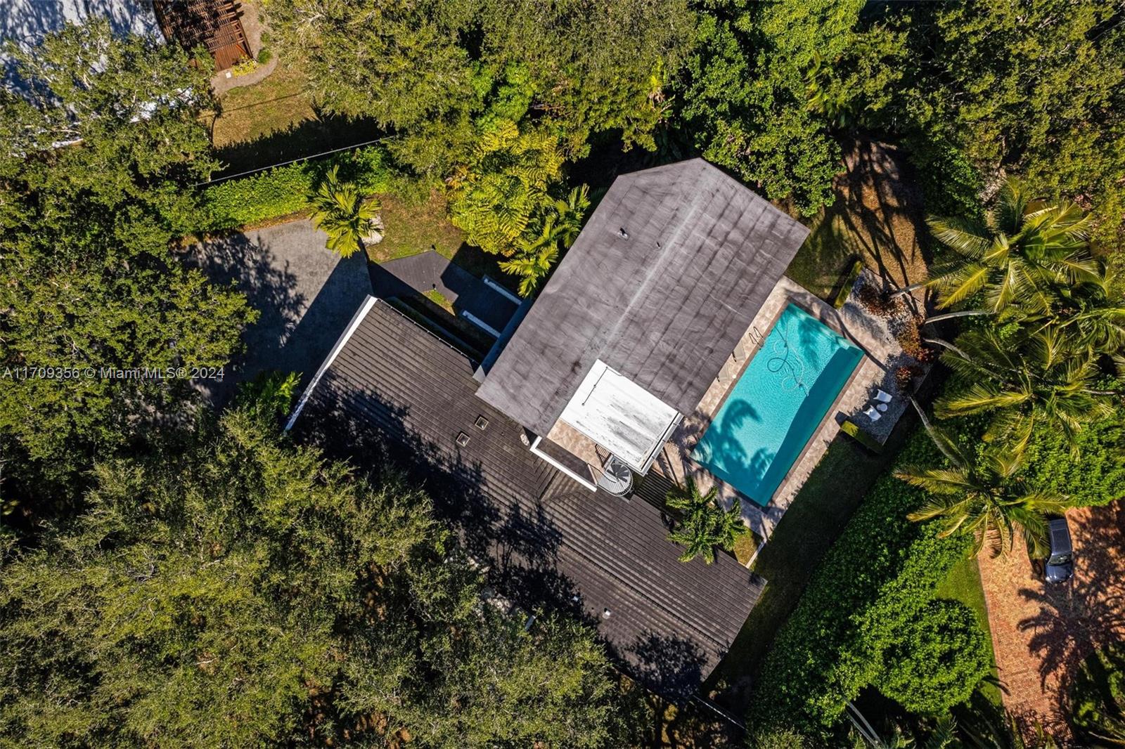 Wild Orchid - Residential