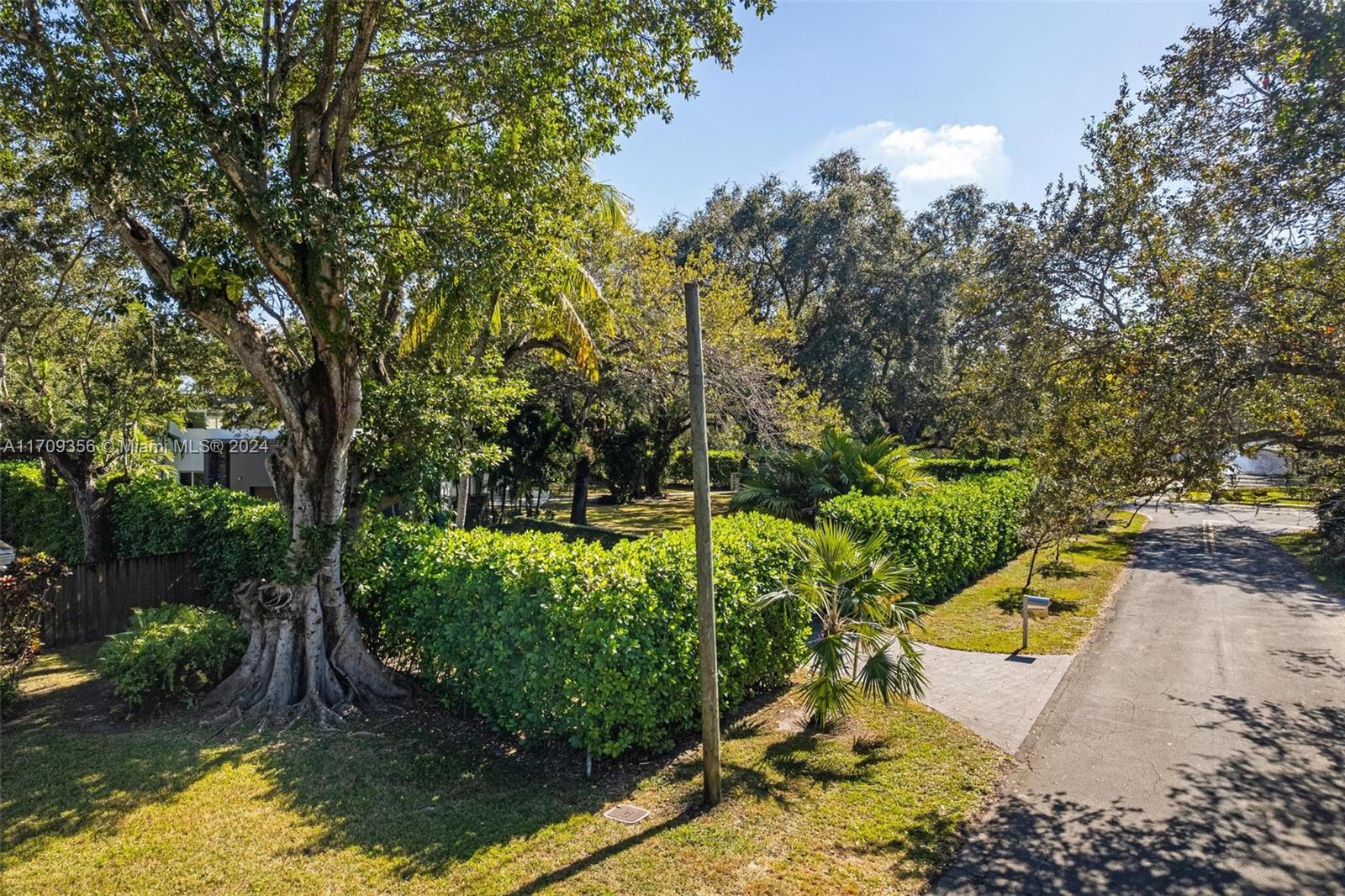 Wild Orchid - Residential