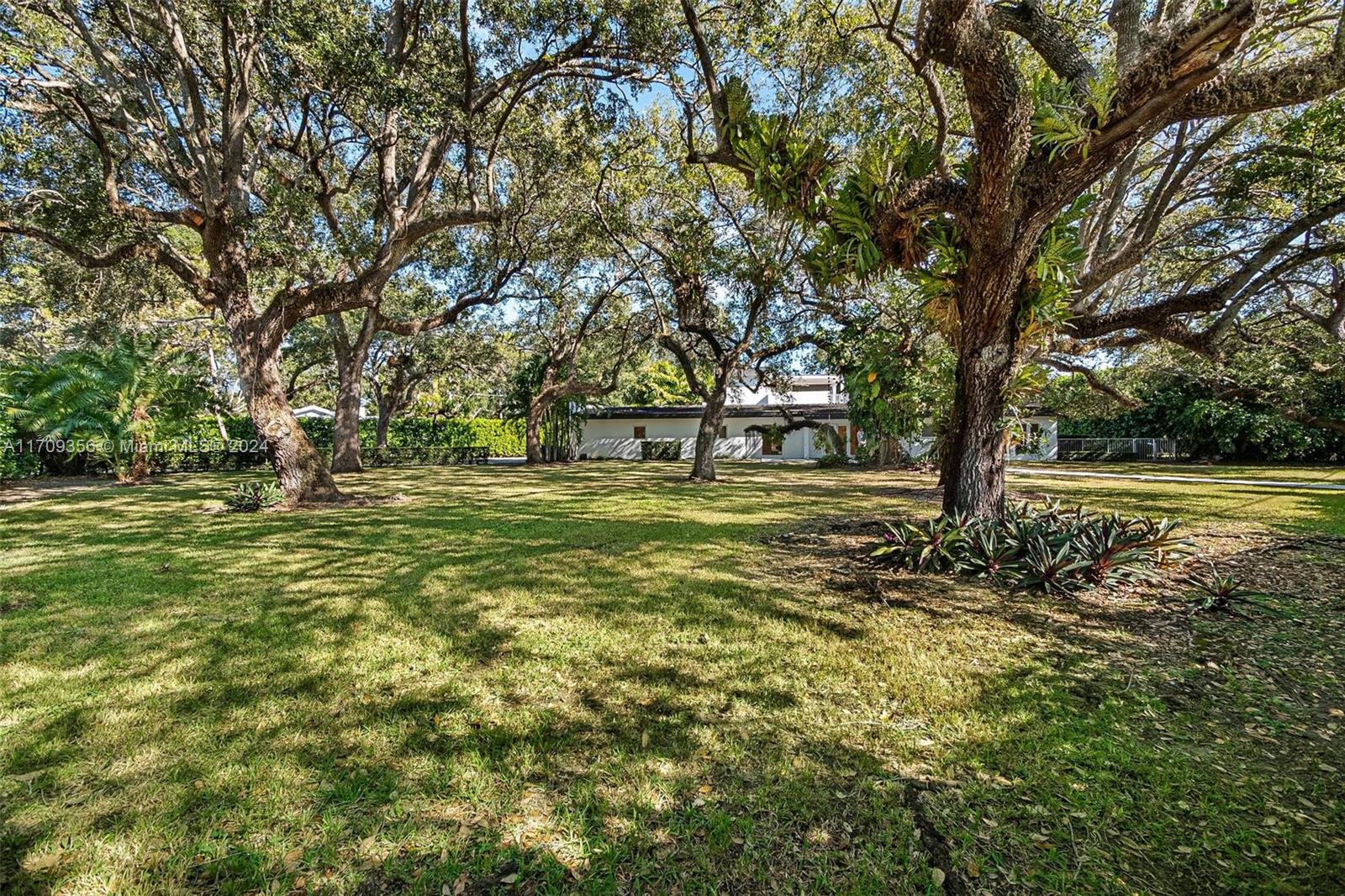 Wild Orchid - Residential