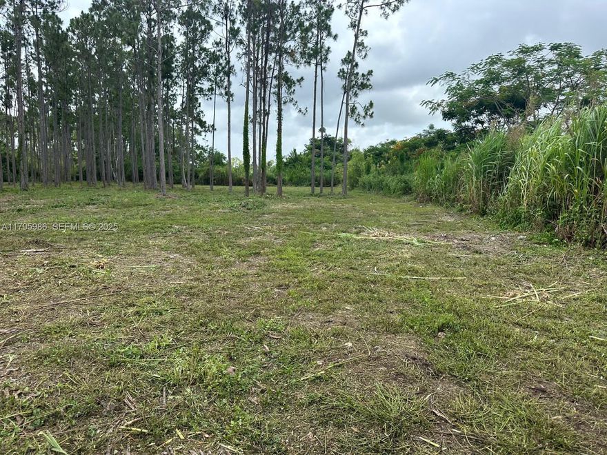 Excellent Opportunity to Build a Dream Estate or Obtain Authorization to Build, Paved Land of 42,471 Square Feet, You Can Build a Single-Family Home. The price includes the 3,800 square foot house plans Use in primary area 0081 Don't miss the opportunity to develop your own project. for more information call listing agent.