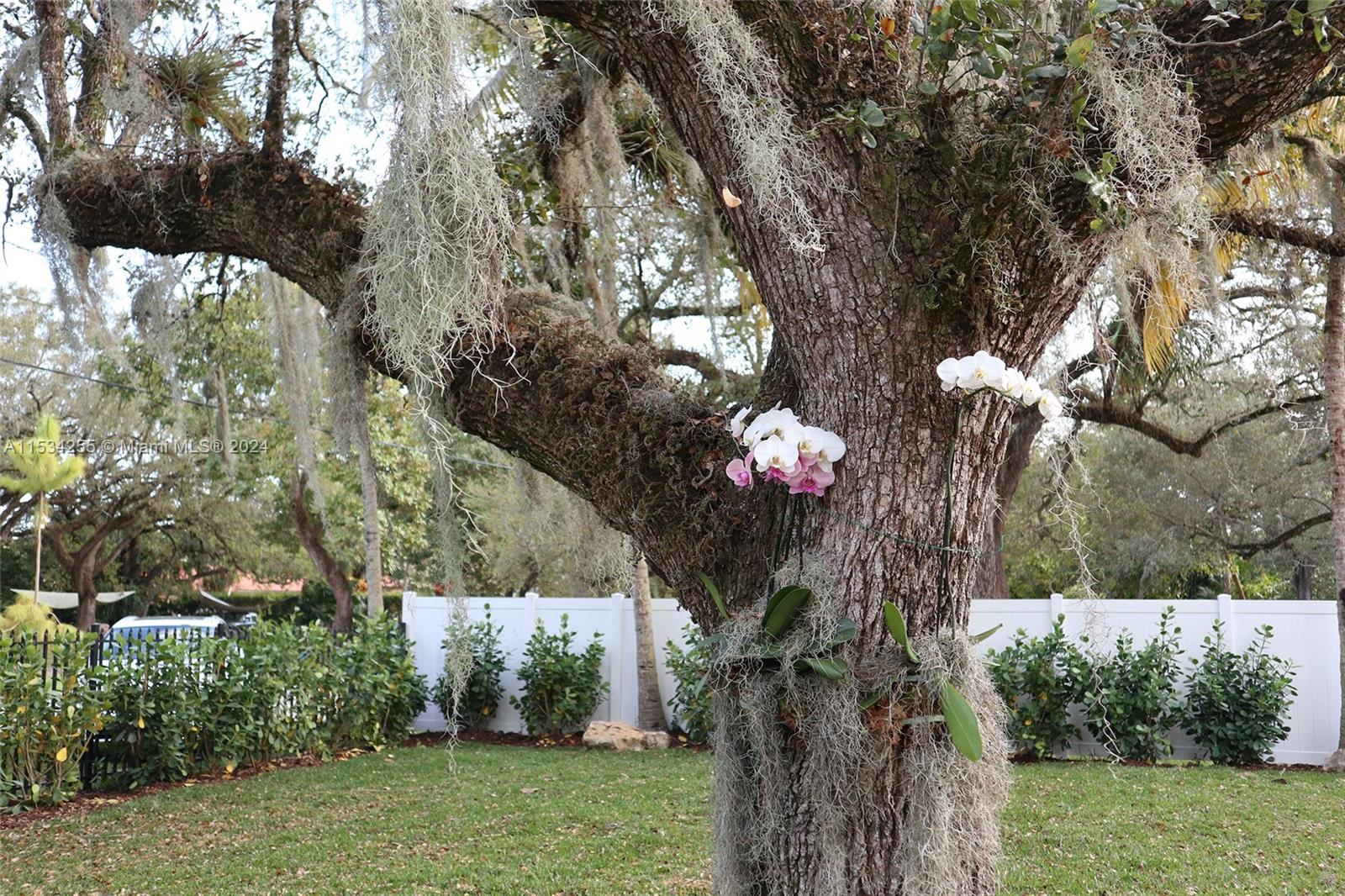 LA HAMACA - Residential