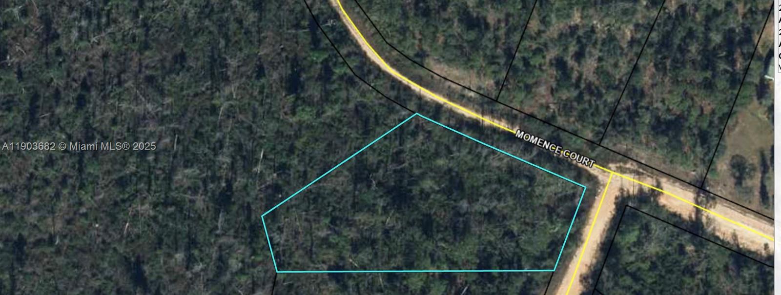 MOMENCE CT-Alford MOMENCE CT