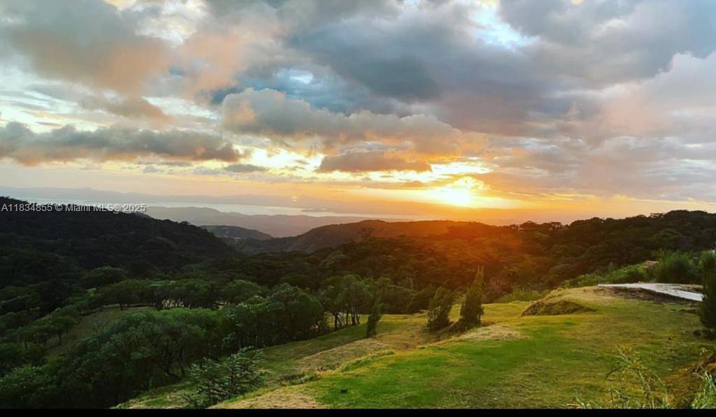 A rare opportunity to own 6.1 hectares (15.07 acres) of pristine land in Monteverde, Costa Rica ,a world-renowned cloud forest region known for its biodiversity and eco-tourism.
Natural Beauty: Features lush forest areas, natural trails, a river running through the property, and private waterfalls,Borders with a natural preserve a true nature lover’s paradise with panoramic mountain and jungle scenery. Infrastructure Ready and Equipped with high-speed internet, electricity, plumbing, and water. Accessible via well-maintained roads, yet peaceful and secluded
Perfect for development an eco-retreat, Hotel, luxury private estate or sustainable tourism project
