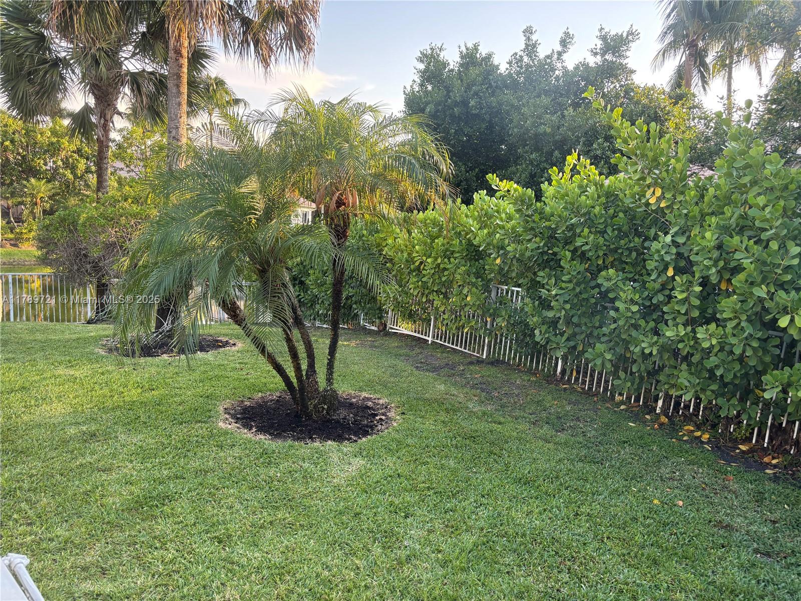 320 Windmill Palm Ave