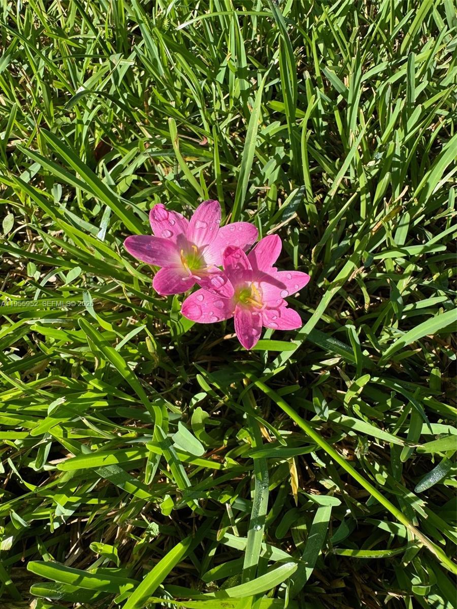 BROADMOOR MANOR - Residential