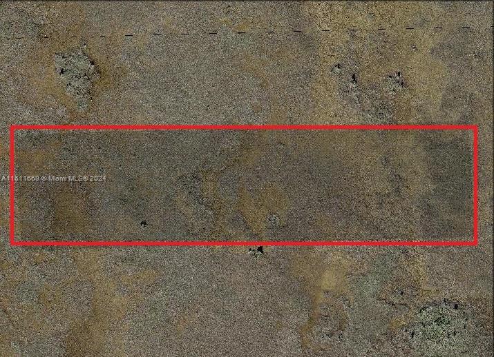 FLORIDA FRUIT LAND COMPANY - Land