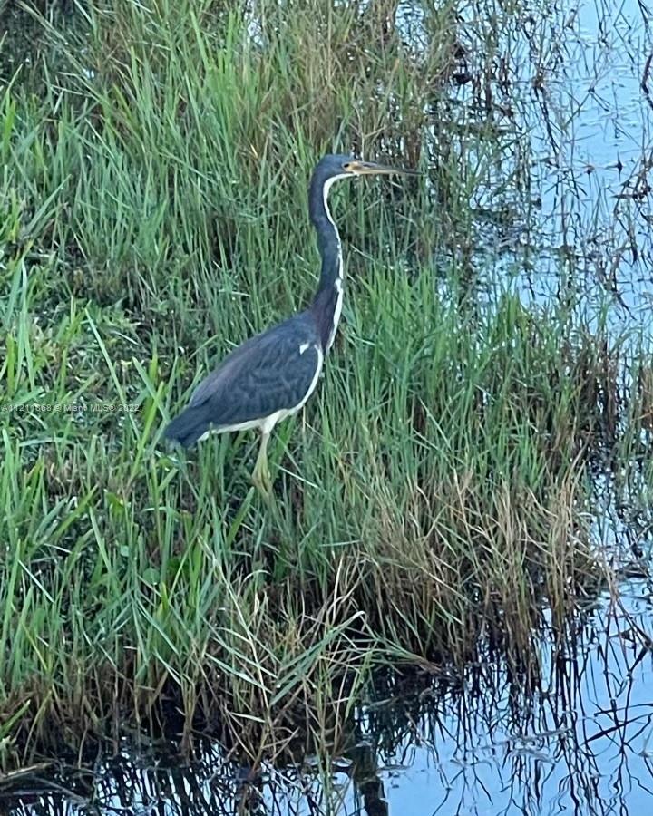 PRESERVE AT CHAPEL TRAIL - Residential