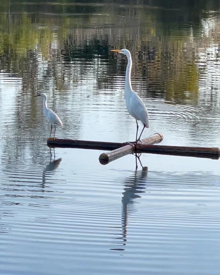 PRESERVE AT CHAPEL TRAIL - Residential