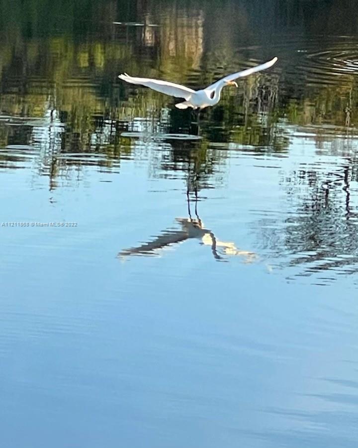 PRESERVE AT CHAPEL TRAIL - Residential