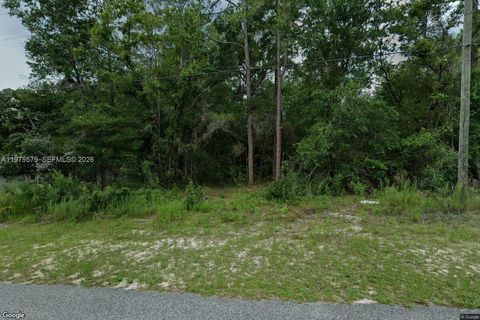 10684 N Burbank Ave Citrus Springs FL 34434