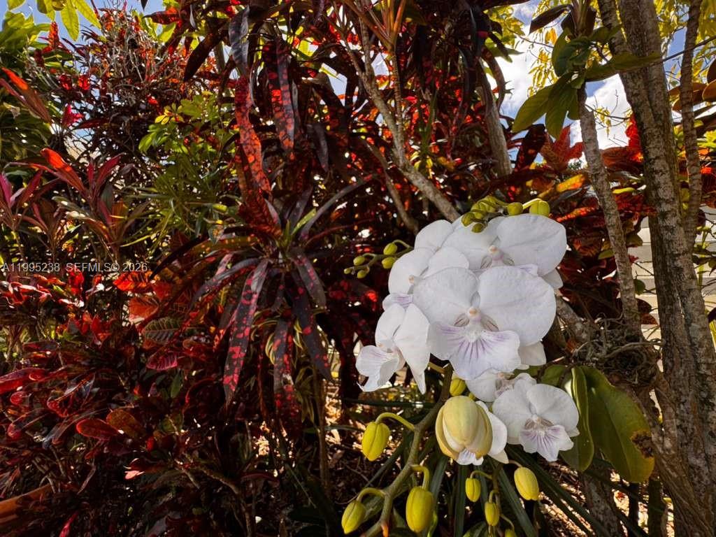 COUNTRY WALK SEC 4 - Residential