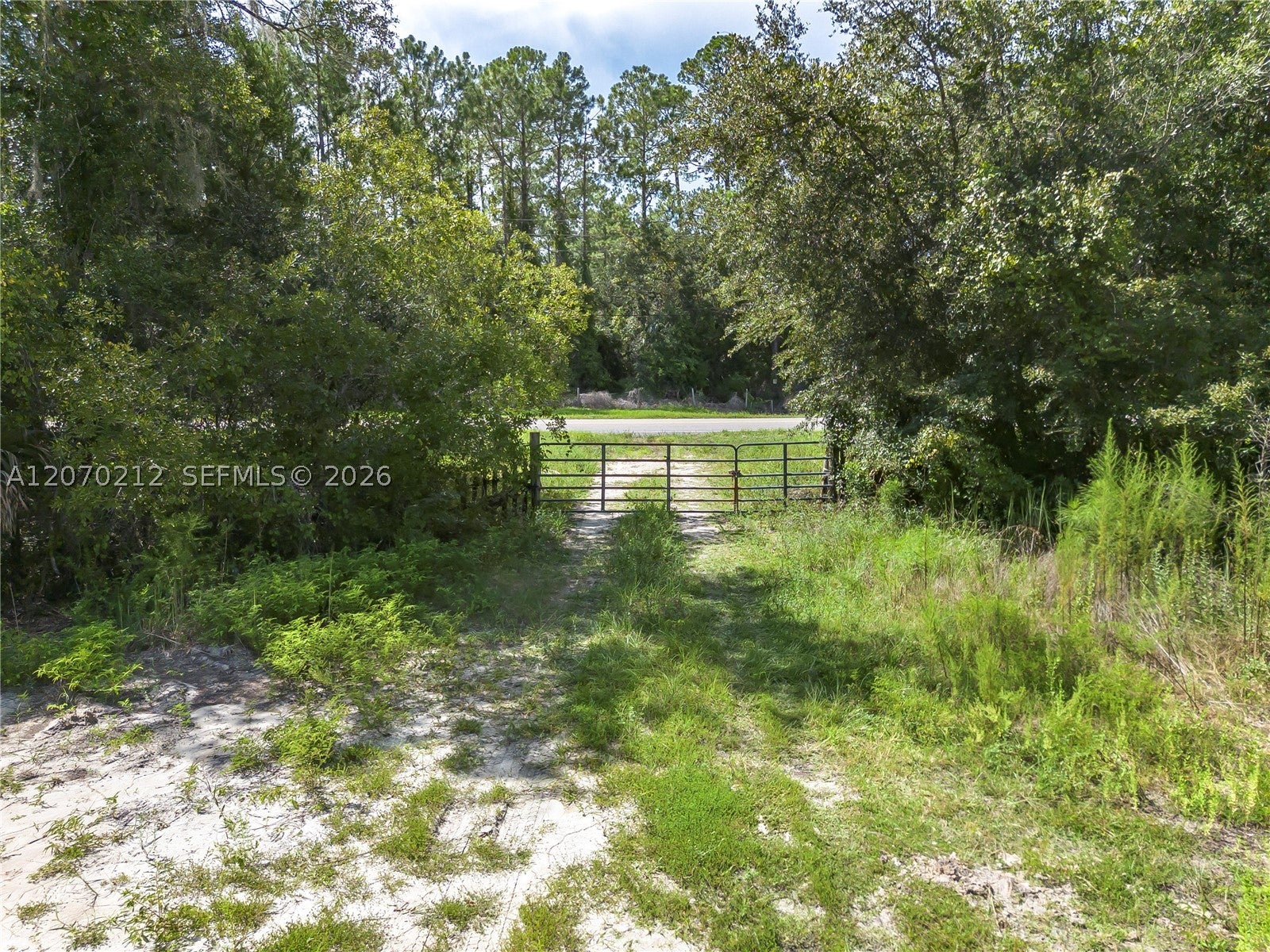 1349 Water Oak Rd