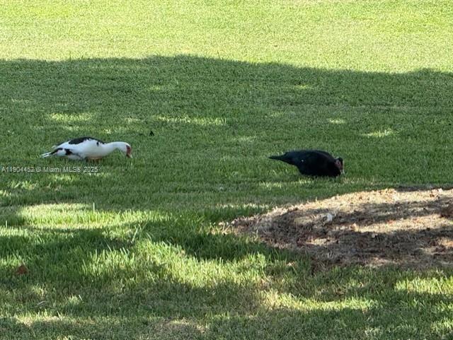 INDIAN SUMMER VILLAGE II - Residential Lease