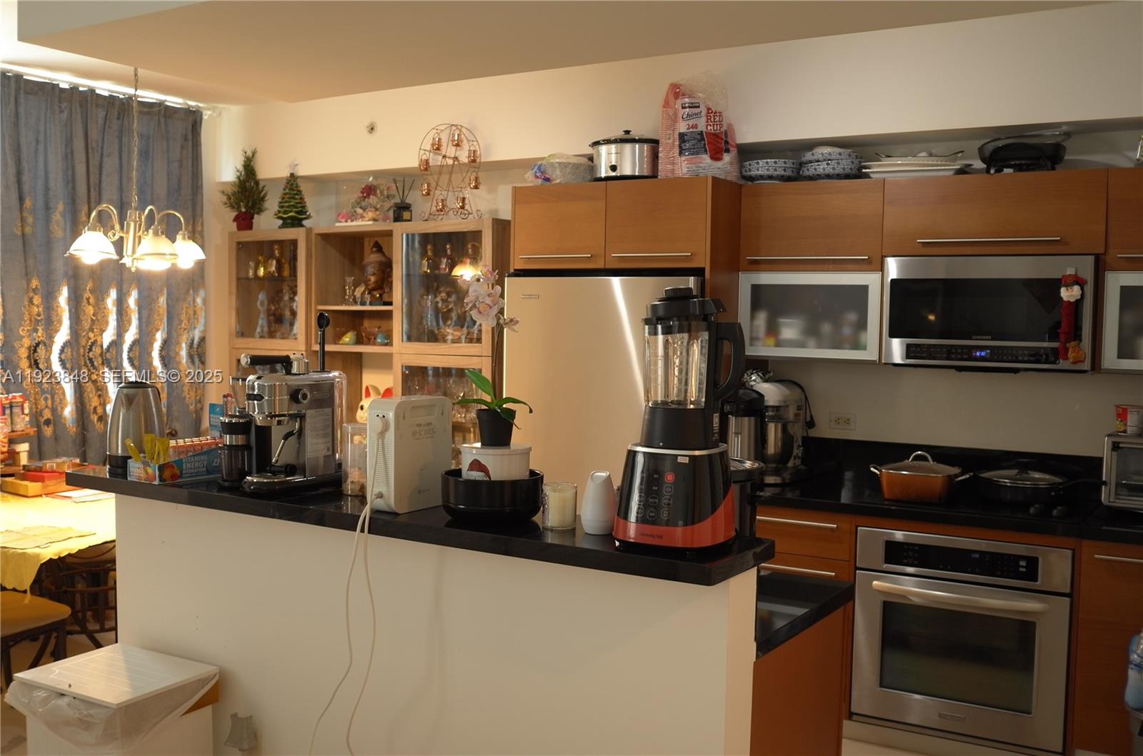 VIZCAYNE SOUTH CONDO - Residential