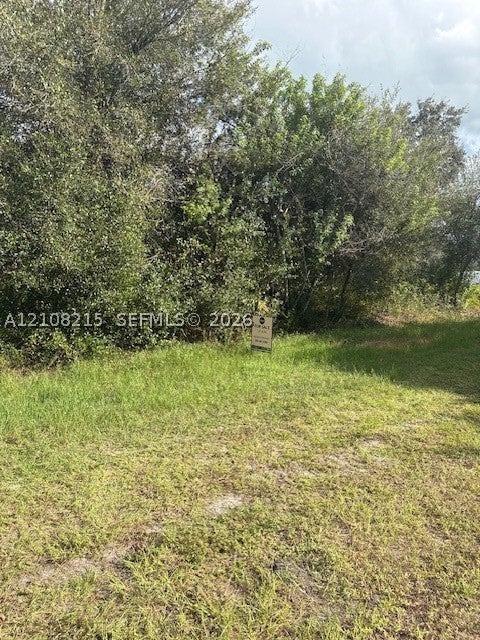815 N Olivo St.