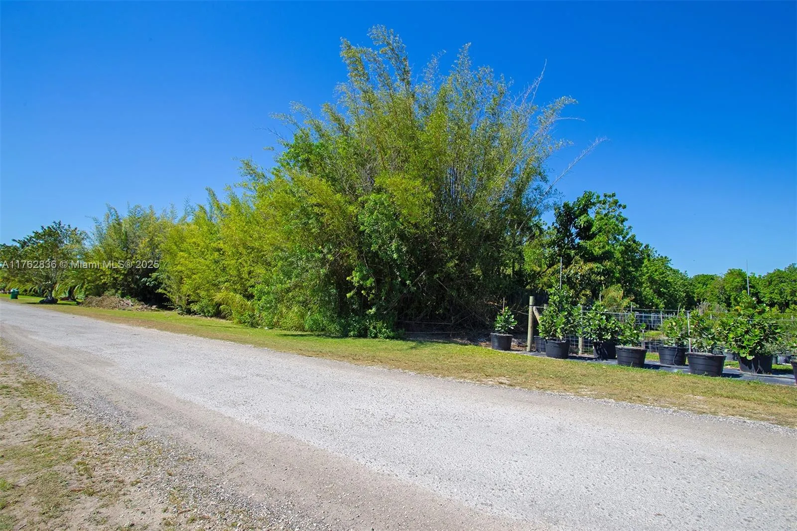 Homestead, Florida 33030, United States, ,Land,Active,90869