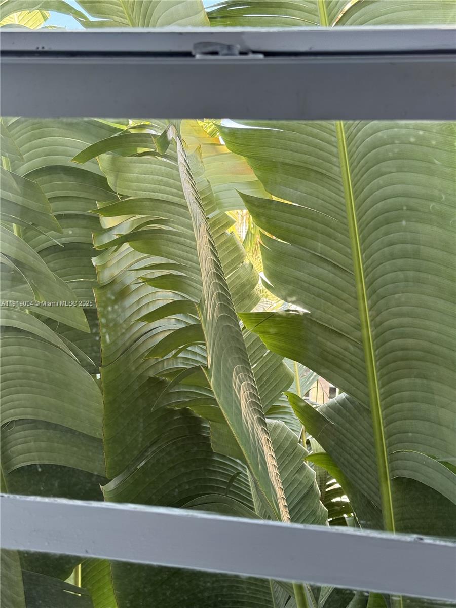 LINCOLN VIEW CONDO - Residential