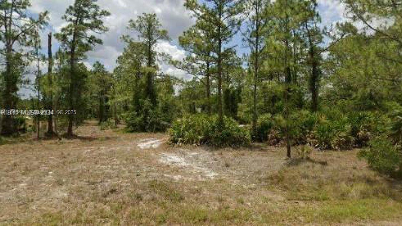 Great Investment Opportunity!
Lot for sale with multifamily zoning in a high-growth area. Perfect for developers and builders. Excellent appreciation potential. Don’t miss this unique opportunity!