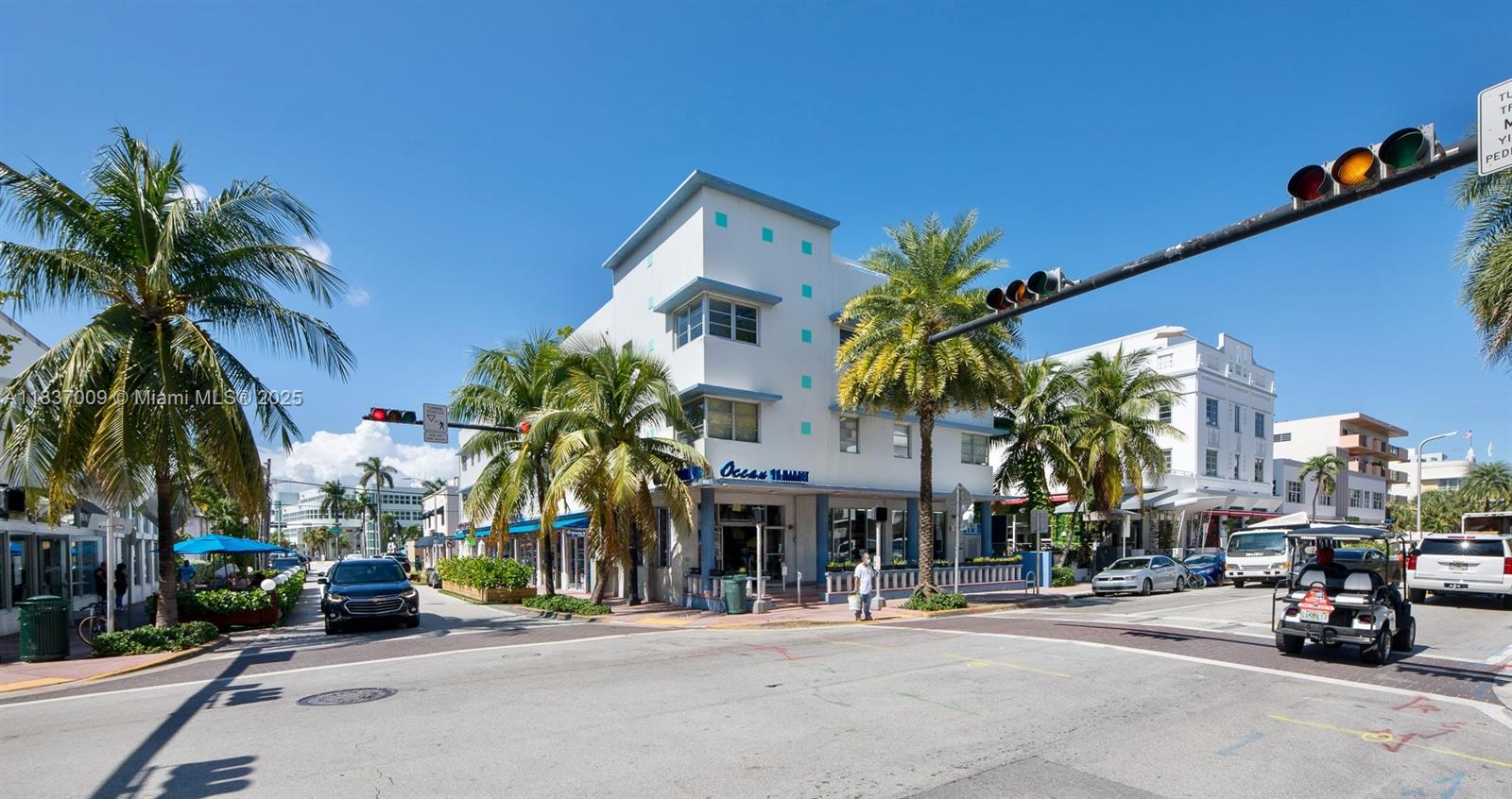 1100 Collins Ave 207