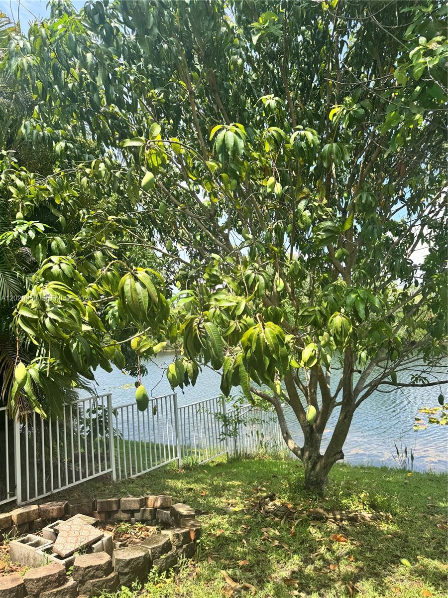 SILVER LAKES AT PEMBROKE - Residential