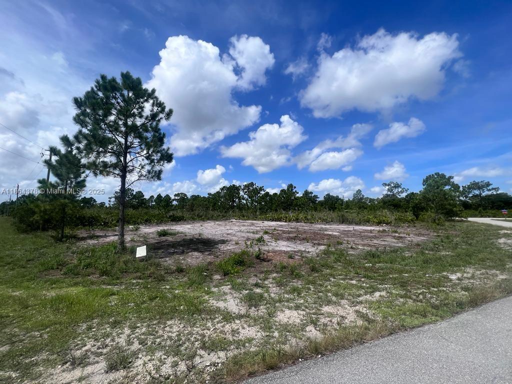 Fantastic 0.35-Acre (15,246 sq ft) Corner Lot! Just 30 minutes from Southwest Florida International Airport with quick access to I-75 and Hwy 82-80. Nestled in an established neighborhood with schools nearby, restaurant and shopping center this cleared lot is ready for your dream home. Easy utility connections available. With the city’s rapid growth and proximity to the coast, this property offers both a perfect residential setting and a smart investment opportunity! come see it. OWNER MOTIVATED.