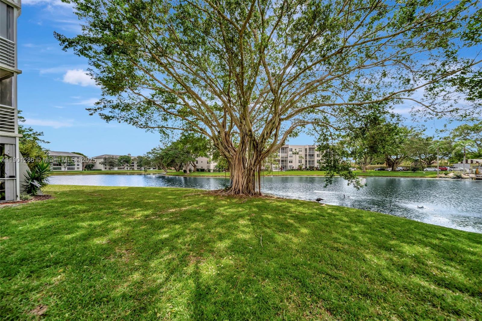 POINCIANA 11 PINE ISLAND - Residential
