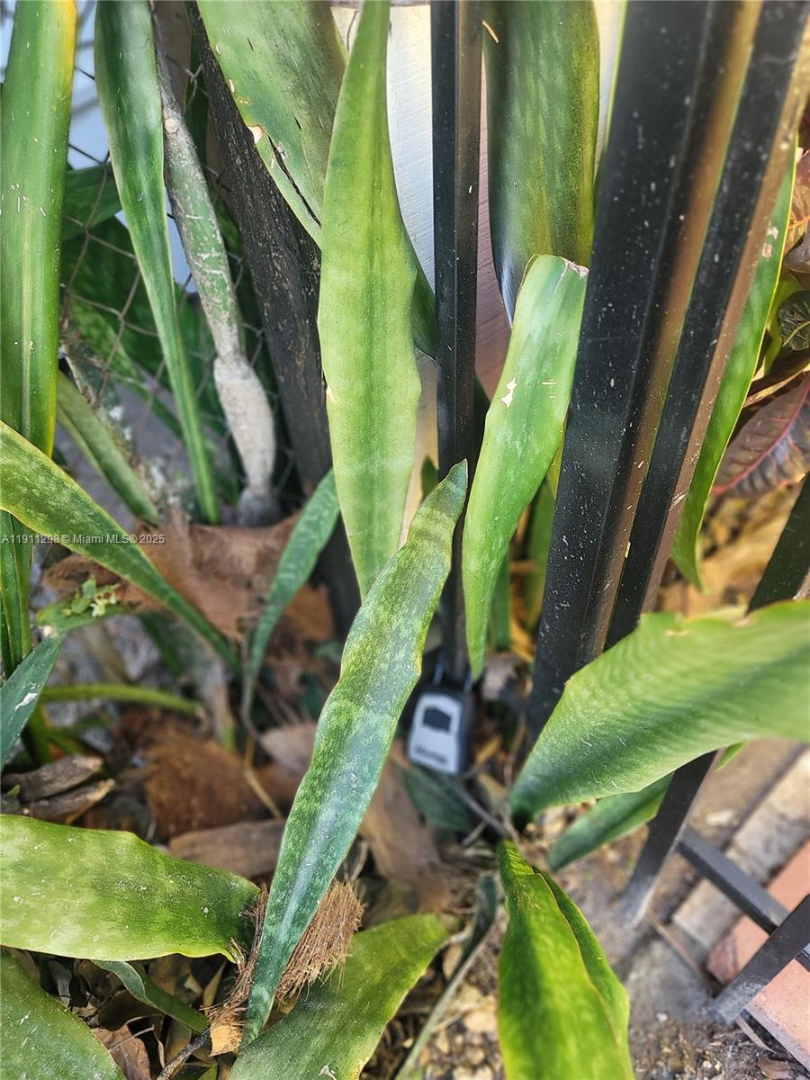 WOLVERINE PARK - Residential Lease