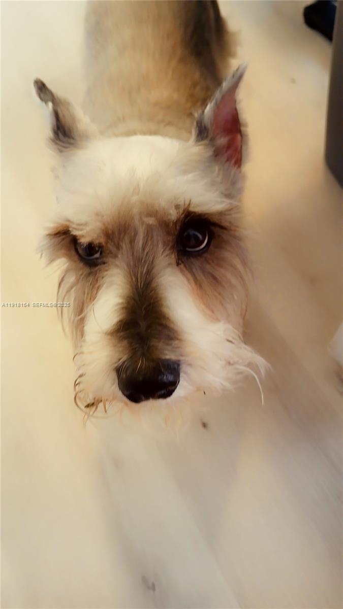 AQUABELLA SECTION ONE - Residential