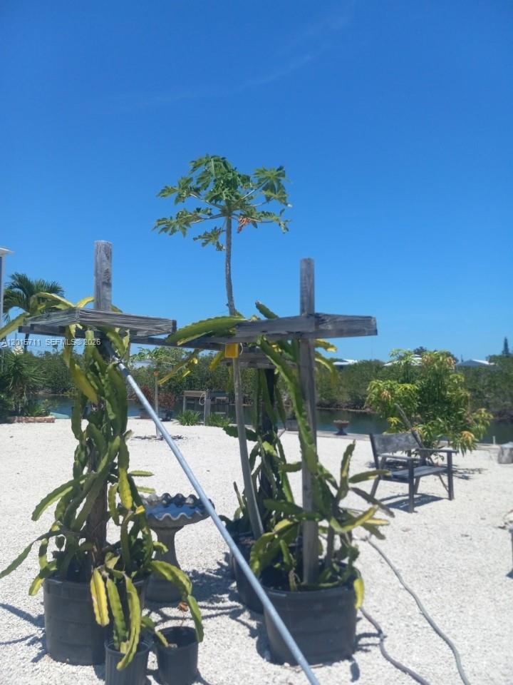 CAHILL PINES AND PALMS - Residential
