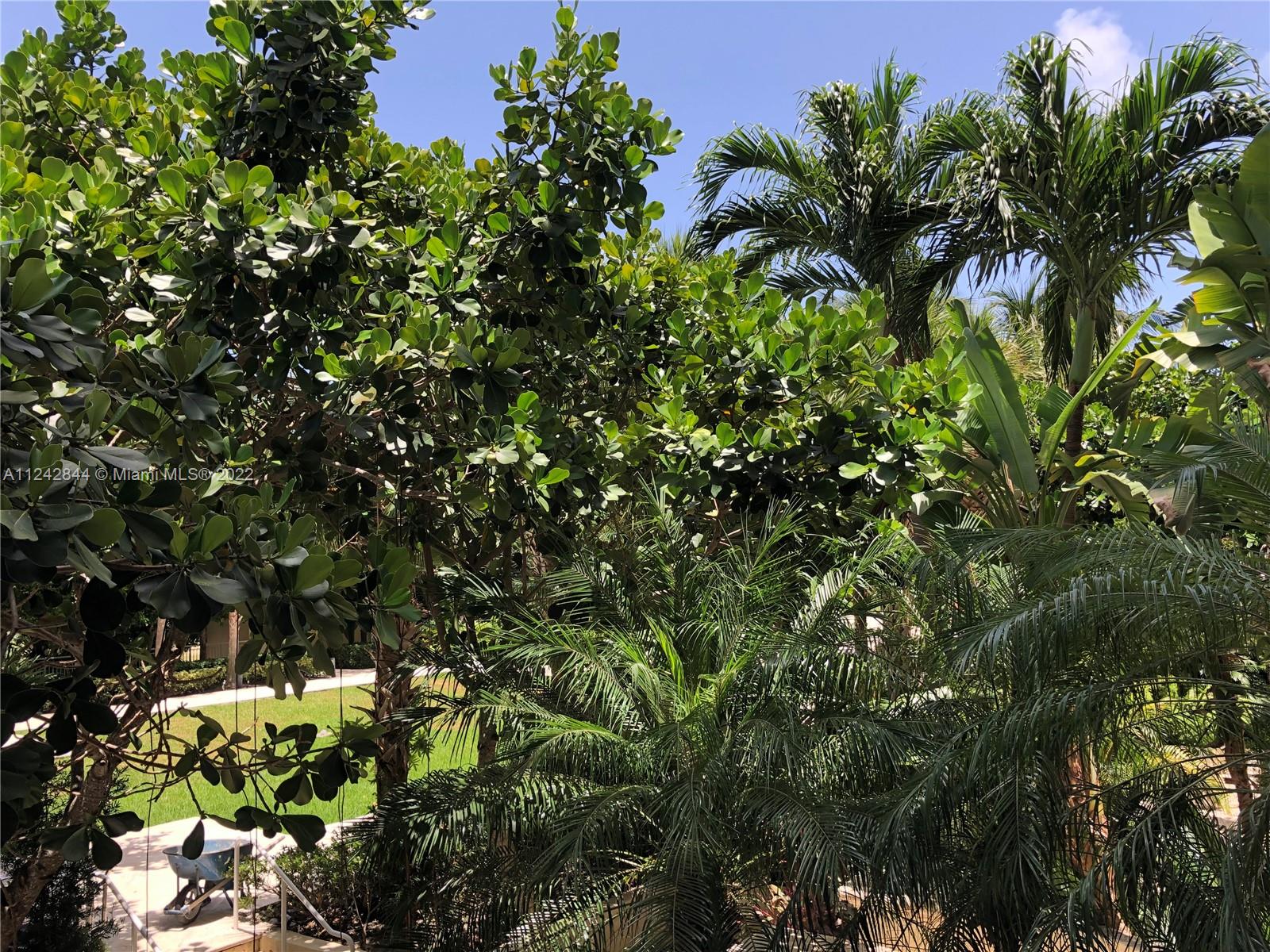 OCEAN TOWER ONE CONDO - Residential