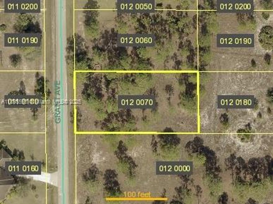 0.50 acre (±21,780 sq ft) home site in Lehigh Acres! Rare half-acre  offering extra frontage, flexible driveway options, and room for a future pool, toys, or a detached garage (buyer to verify). Quiet residential area with new homes nearby—easy access to SR-82, shopping, schools, and a straight shot to Fort Myers and the beaches. Build now or hold as an investment. No builder tie; choose your own plans and timeline. Typical area utilities are well & septic (buyer to confirm availability, setbacks, and zoning with Lee County). Flood zone, environmental, and endangered species to be verified by buyer during due diligence. Motivated seller—bring your offer!