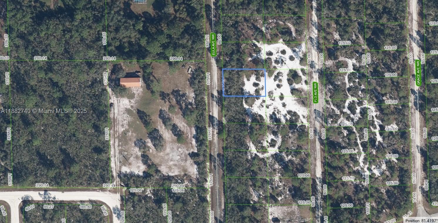 OWNER WILL FINANCE 3K DOWN 334.64 PER MONTH FOR 60 MONTHS 7% INTREST. MULTI FAMILY DUPLEX OR TRIPLEX ZONED R-3 lot located in Placid Lakes in a serene setting surrounded by open pasture. The perfect investment lot to build a duplex and capitalize on the rent shortage. Lake Placid is a charming town located in South Central Florida and surrounded by dozens of lakes and "old" Florida. This particular piece is adjacent to a 2,700 acre ranch, so no worries if you're looking for privacy.