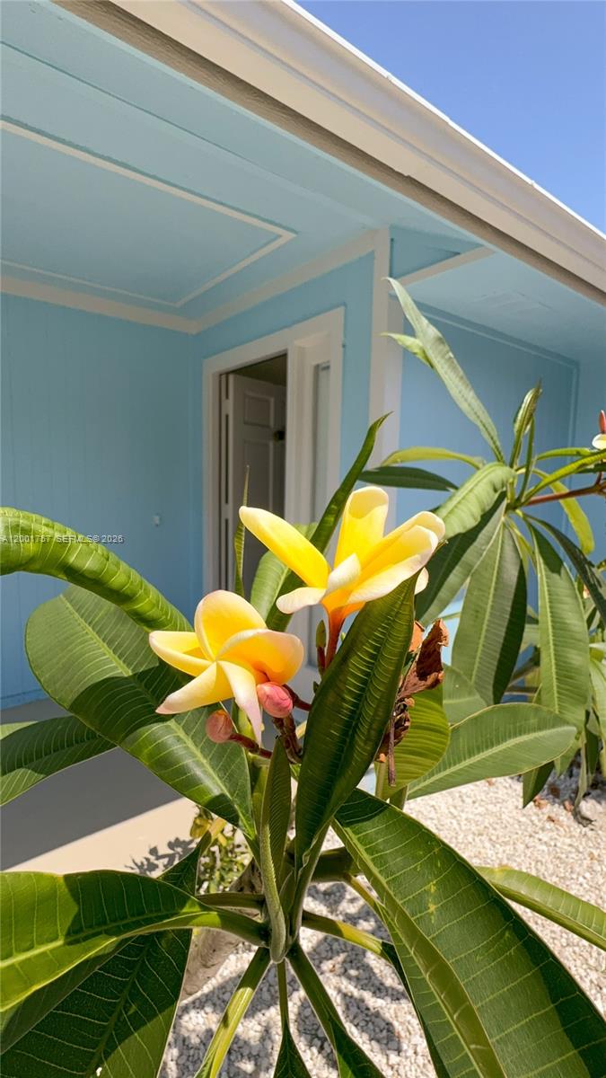 PORT ST LUCIE SECTION 8 - Residential Lease