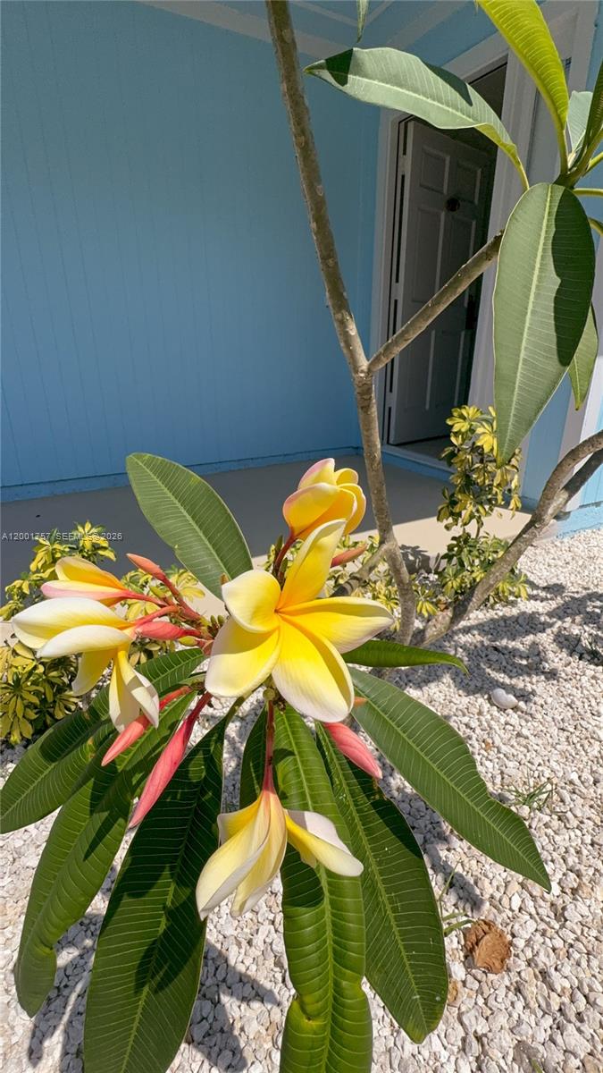 PORT ST LUCIE SECTION 8 - Residential Lease