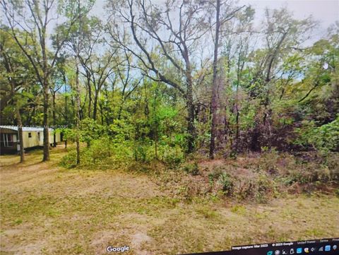 121 BUCKLES Palatka FL 32148