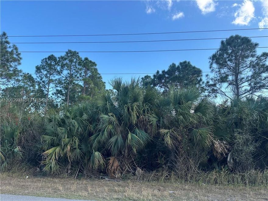 Excellent opportunity to own a spacious 1-acre vacant residential lot in the heart of Lehigh Acres, Lee County. Located in the established Greenbriar Unit 41 subdivision, this parcel offers a blank canvas to build your dream home or hold as a solid land investment in one of Southwest Florida's fastest-growing communities. Conveniently situated near schools, shopping centers, and major roads. No HOA. Easy access to Fort Myers and Naples. Don't miss this chance to secure your piece of Florida at an unbeatable price!