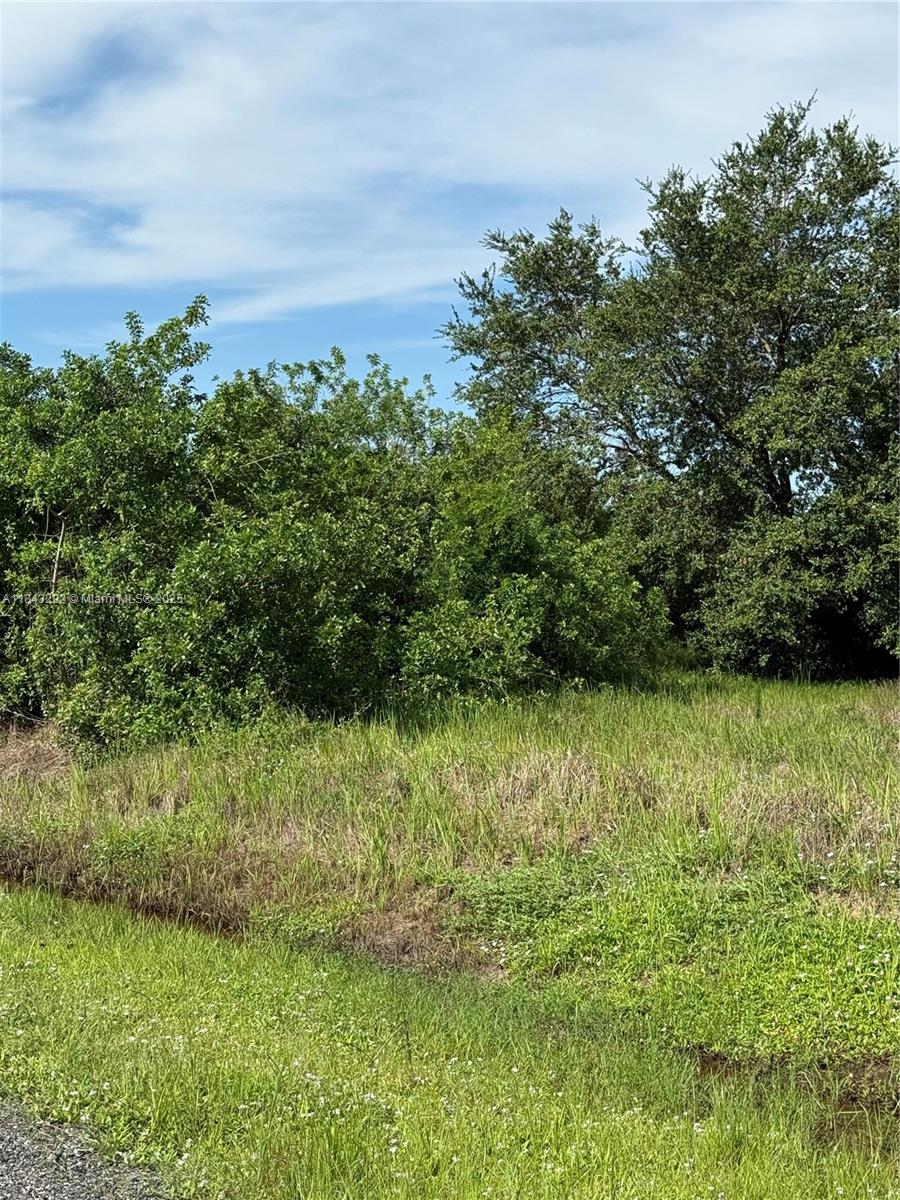 MONTURA RANCH ESTATES - Land