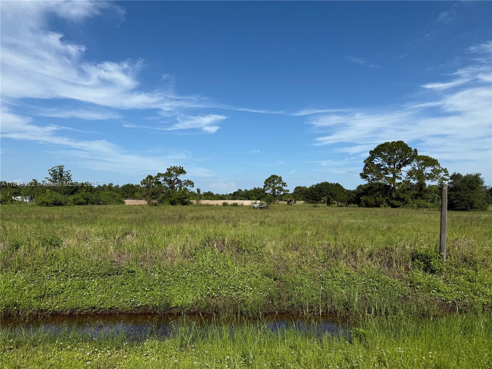 1.25 ACRES AT THE NORTH OF MONTURA RANCH ESTATES, BALD CYPRESS & JINETE ST! END OF STREET AND CLEARED LOT ! PRICE TO SELL FAST!! BEST OPTION IN THE MARKET! NO WETLAND! GREAT INVESTMENT OPPORTUNITY! YOU CAN BUILD YOUR DREAM HOUSE OR INSTALL YOUR MOBILE HOME ENDLESS POSSIBILITIES!!! YOU CAN HAVE YOUR WEEKEND GETAWAY FROM THE CITY, JUST 65 MILES FROM WESTON, 90 MILES FROM MIAMI, YOU CAN HAVE YOUR FARM ANIMALS AND ENJOY THE CAMP STYLE OF MONTURA RANCH ESTATE YOU CAN GO DIRECTLY TO THE PROPERTY AND CALL ME OR TEXT ME IF YOU NEED ANY EXTRA INFORMATION