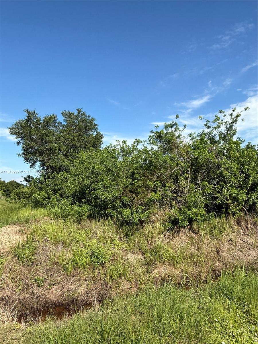 MONTURA RANCH ESTATES - Land