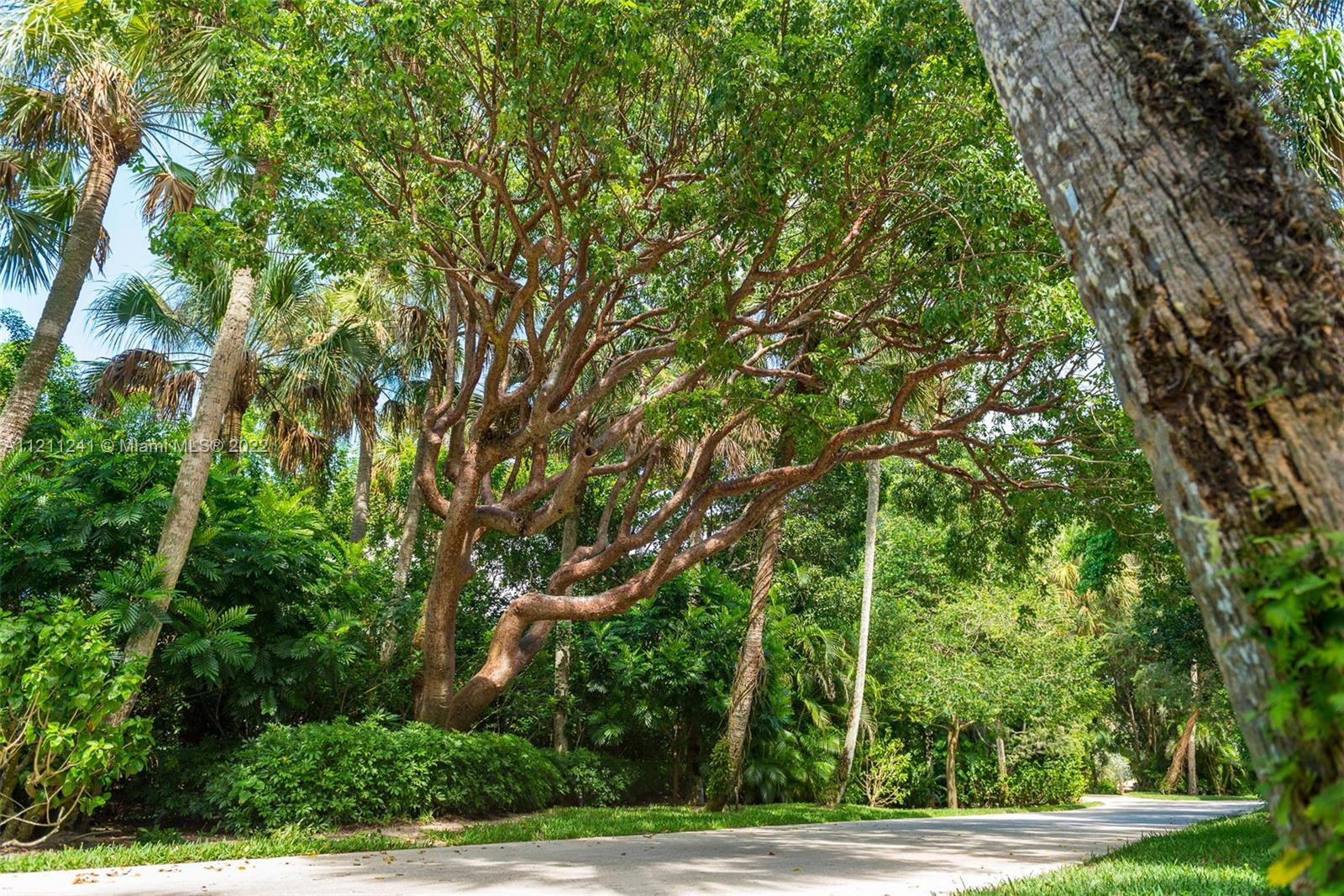 JUPITER ISLAND - Residential